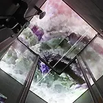 Art & *